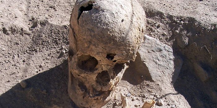 Tombs Filled with Dozens of Mummies Found in Peru