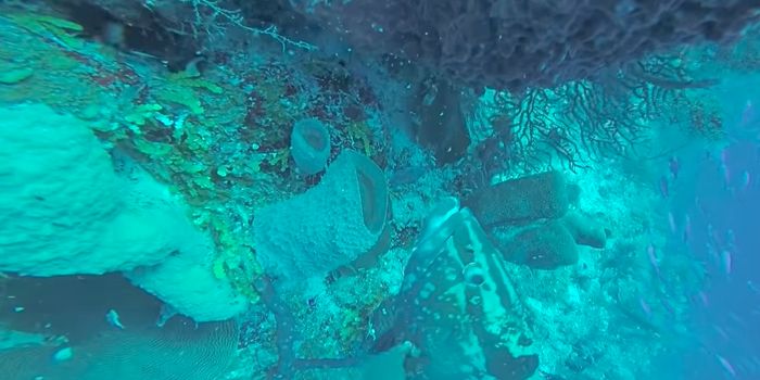 Scientists Ventured to the Bottom of the Great Blue Hole, Here's What They Found