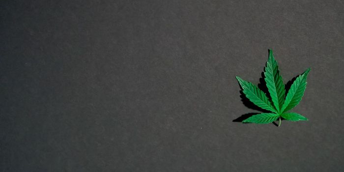 31% Americans who use Marijuana have Cannabis Use Disorder