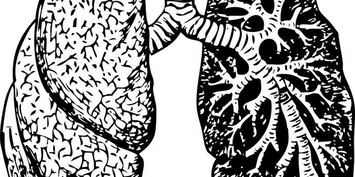 Improving Immunotherapy with a Novel Nanoparticle