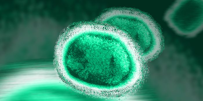 The return of Monkeypox: the need for new research and immunodiagnostics