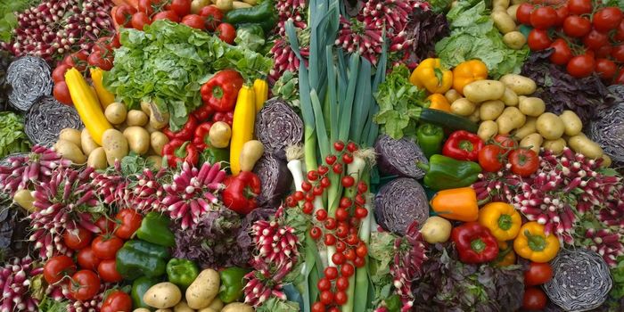 Vegetarian Diet May Reduce Stroke Risk
