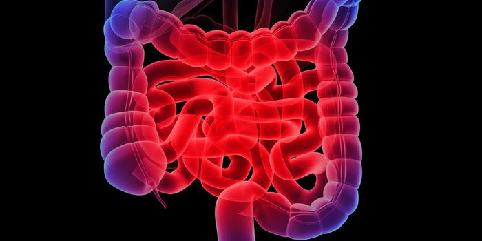 Gene Variation Betrays Protective Cells in GI Tract