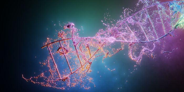 New Insights Into How Breaks in 'Junk' DNA are Repaired