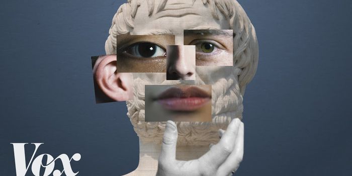 Humans Have More than 5 Senses, Apparently