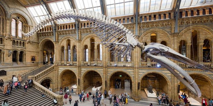 It's time to pull in the big data