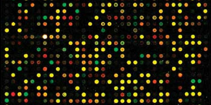 Proposed New Genetic-Clinical Risk Grouping Model for Prostate Cancer
