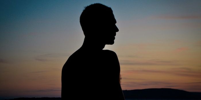 There's More to the Y Chromosome Than We Knew