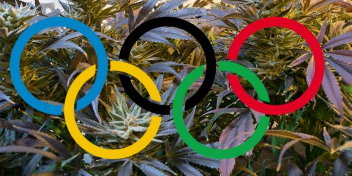 Changes in Cannabinoid Policy for Olympic Athletes...just in time for 2018 Winter Olympics