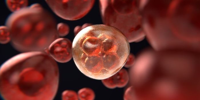 Cannabis Compound Prevents Colon Cancer in Mice