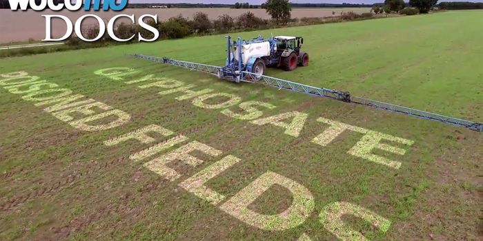 From DDT to Glyphosate