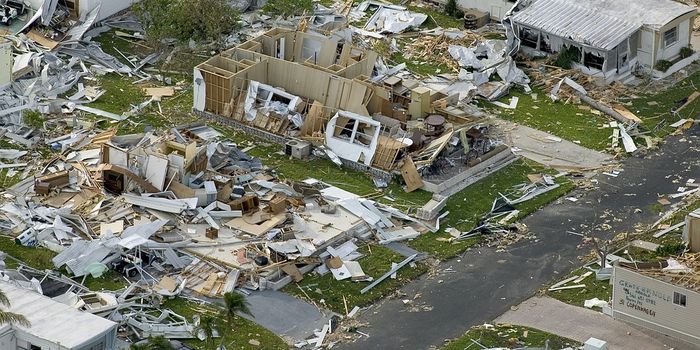 Aggressive spiders fare better after hurricanes