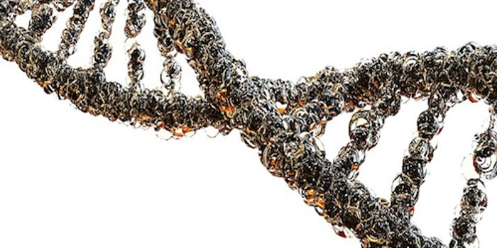 An Important Role for 'Junk' DNA