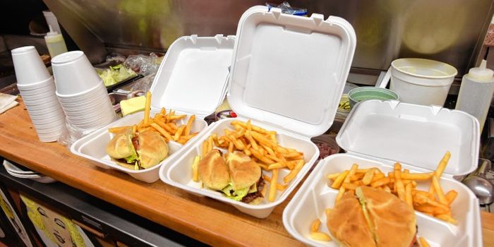 Maine is the first state to ban styrofoam