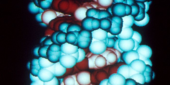 New Anticancer Drug Target: RNA