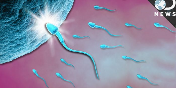 Scientists Capture Real Sparks at the Moment of Conception