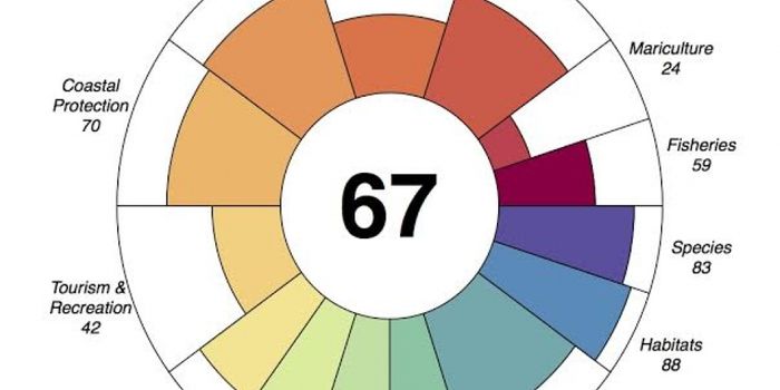 This ocean health report may surprise you