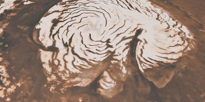Mars Ice, Not Regolith, May Hold Best Clues to Past or Present Life