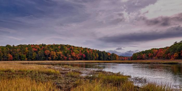 Mapping the Impact of Climate Change on New England's Water Cycle