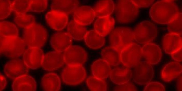 Steps Closer to the Alchemy of Changing Blood Types