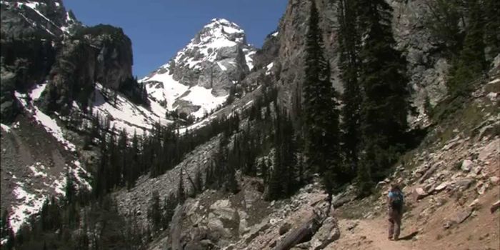 Celebrating the Centennial of our National Parks