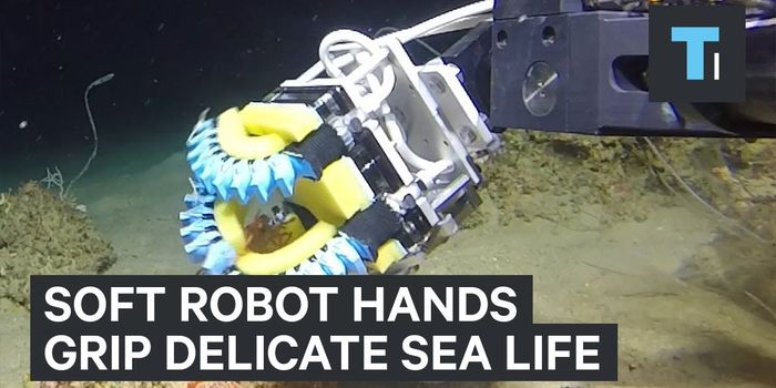 High-Tech Underwater Robot Grippers Are Perfect for Handling Delicate Sea Life