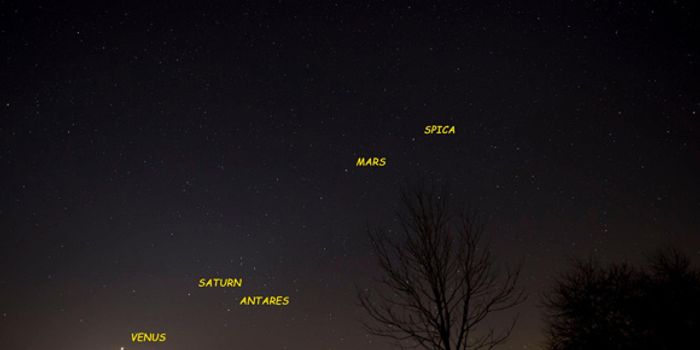 Five Planets in the Sky to be Visible to the Naked Eye for the Next Month