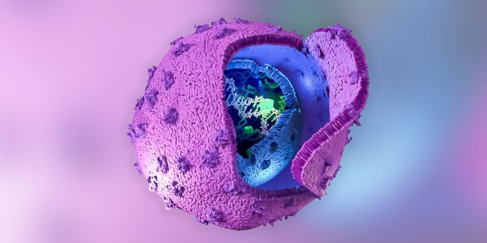 How STR Analysis Supports CAR-T Cell Manufacturing