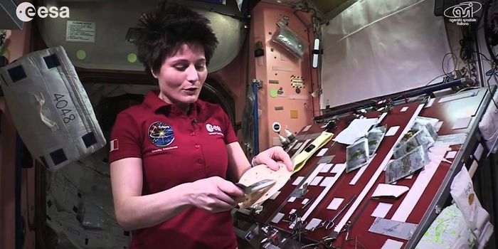 This is What it's Like to Make a Burrito in Space