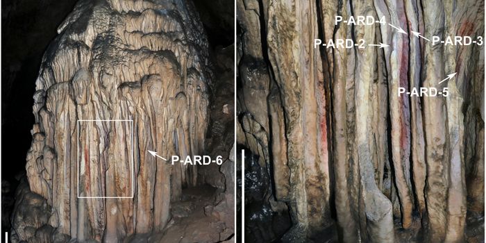 New Evidence Expands Hypothesis About Neanderthal Paintings