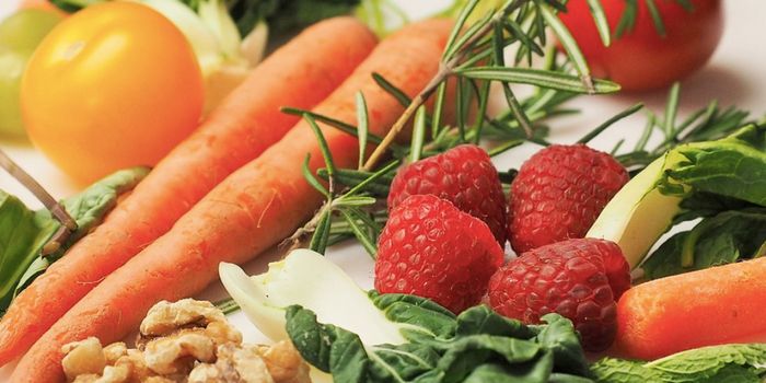 Dietary Fiber Helps Control How Gut Microbes Use an Amino Acid