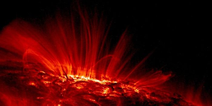What the Sun's New Weather Cycle Means for Earth