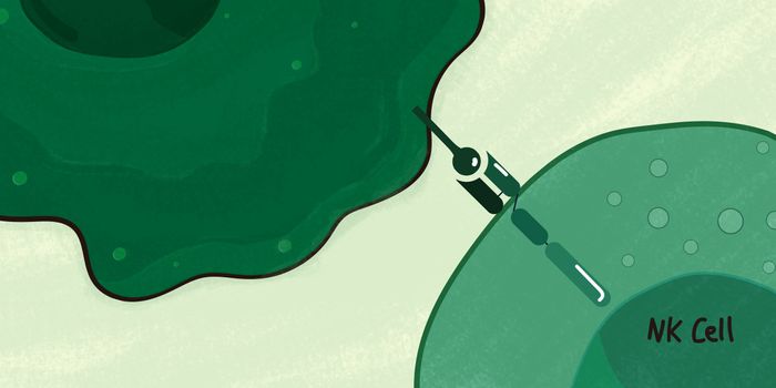 CAR-NK Therapy: An Effective Strategy for Cancer Treatment