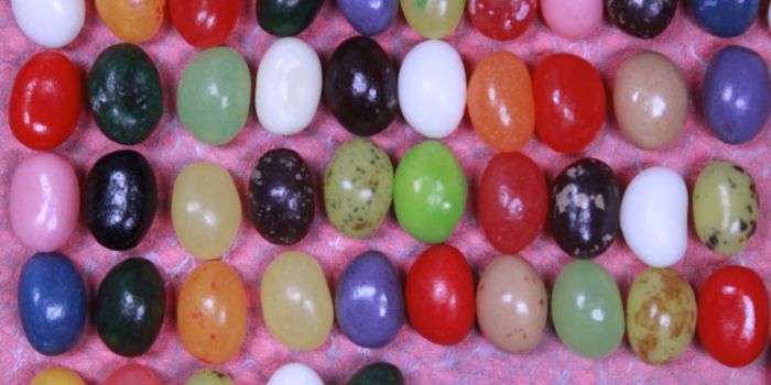 Illuminating the Role of Membraneless Organelles