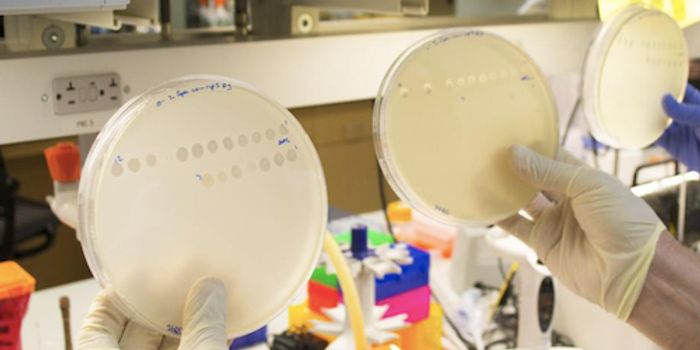 A Newly Discovered Evolutionary Pathway in Viruses