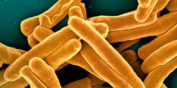 A New Class of Antimicrobial Compounds Discovered in Soil Bacteria