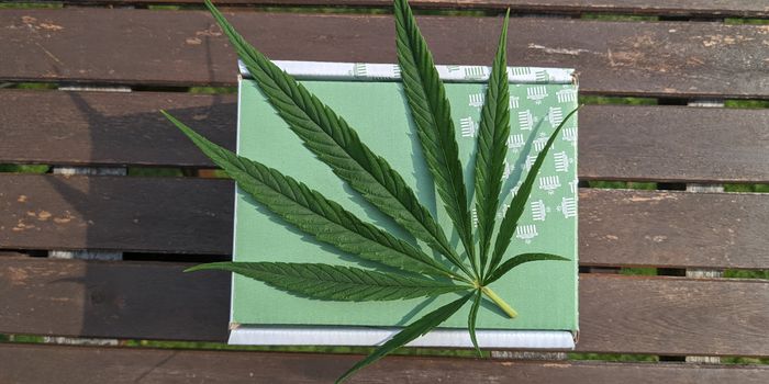 Not Just THC and CBD: Study Investigates Potential of Minor Cannabinoids