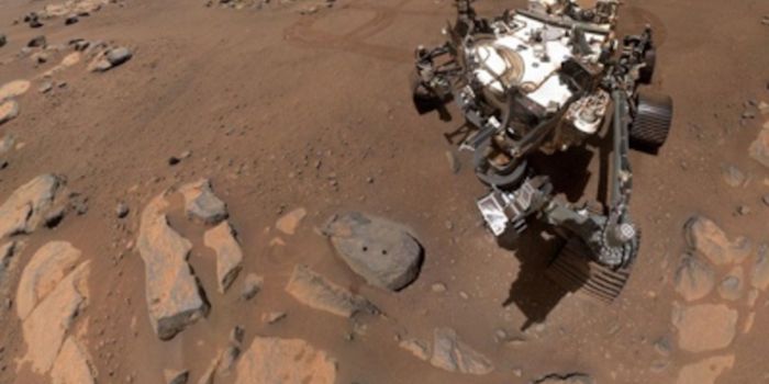 Martian Rocks Show Signs of Long-Term Water Erosion