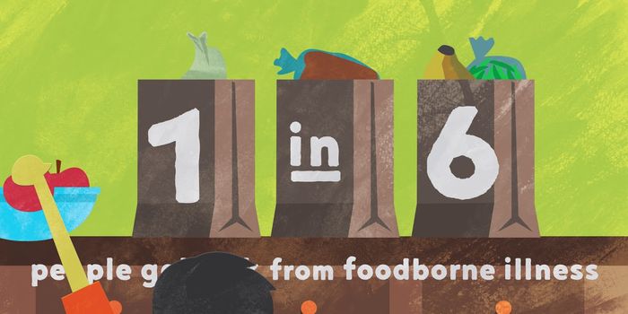 Keeping Your Family Safe From Foodborne Illness