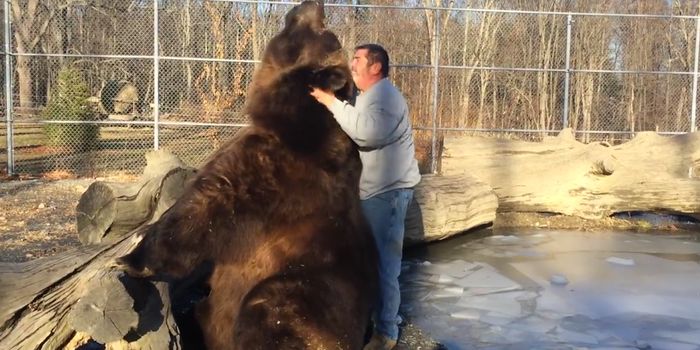 Check Out This Viral Video of a Man Hugging a Bear