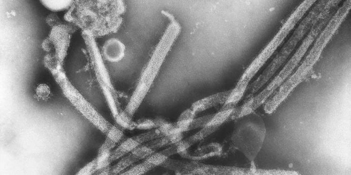 Middle-Aged Adults Might Always be Susceptible to H3N2 Flu