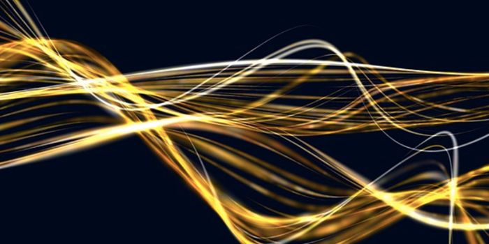 Researchers See the Formation of Motor Memories in Mice