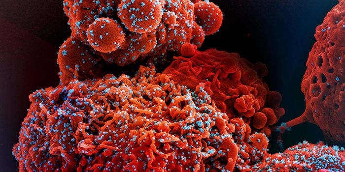 SARS-CoV-2 Can Integrate Into the Genome, Cause Positive Tests