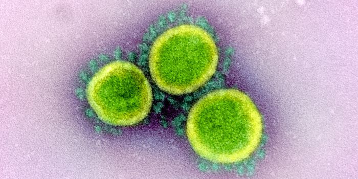 SARS-CoV-2 Has Multiple Routes Into Cells