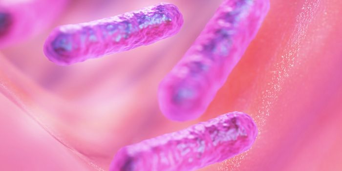 Humans and Our Gut Microbes Evolved Together