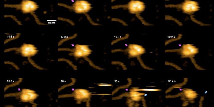 Breaking: First Real-Time Video of CRISPR editing DNA