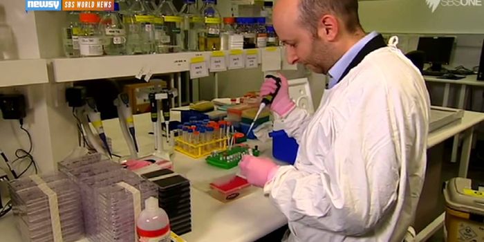 Study Suggests Link Between Alzheimer's And Immune System