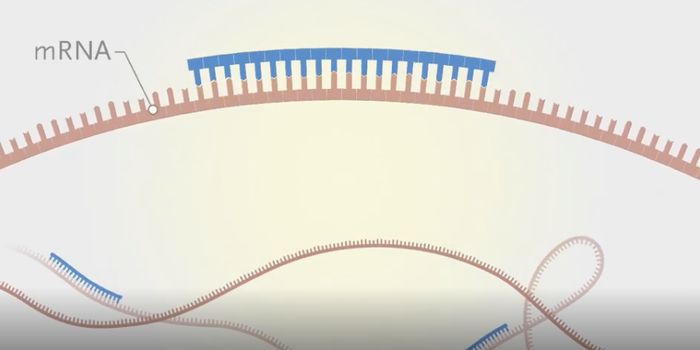 Treating Disease by Manipulating RNA