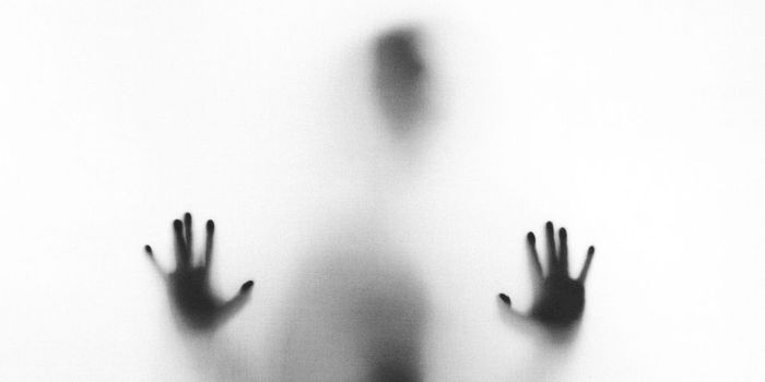 Depression is Not Caused By Genetics