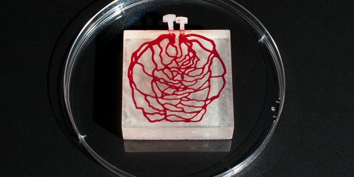 Latest 3D-Printed Patches Promote New Blood Vessels